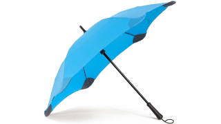 Illustration for article titled Your Top Five Picks For Best Umbrella